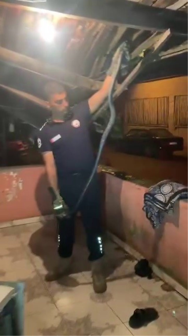 Bulaşık makinesine giren 2 metrelik karayılan evdekilere kabusu yaşattı