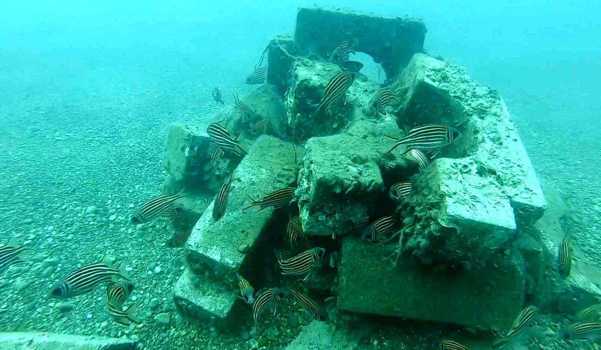 Antalya\'da Yapay Resif Oluşumu