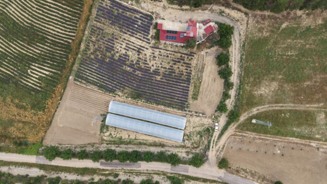 Devlet desteğiyle başladılar, yılda 600 bin lira kazanıyorlar