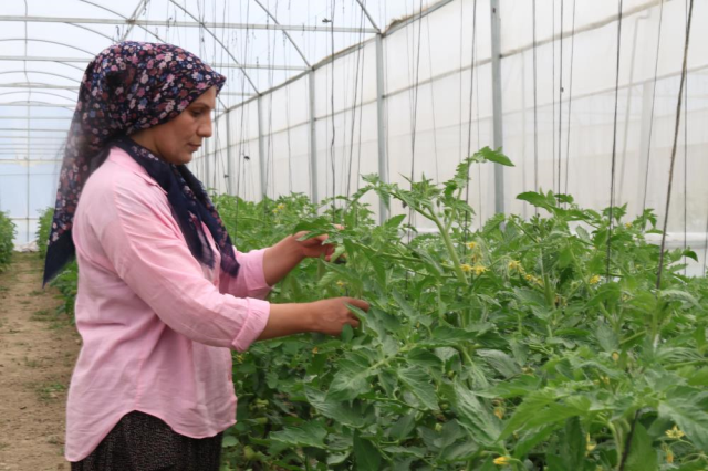 Devlet desteğiyle başladılar, yılda 600 bin lira kazanıyorlar