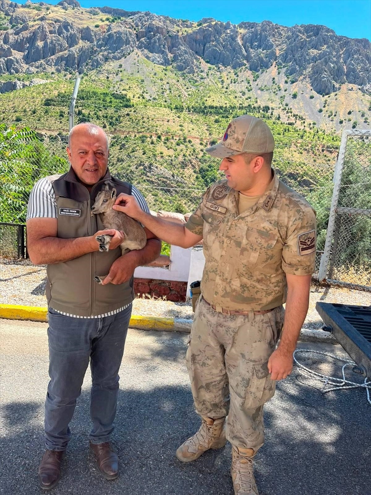 Yalnız Bulunan Dağ Keçisi Yavrusu Kurtarıldı