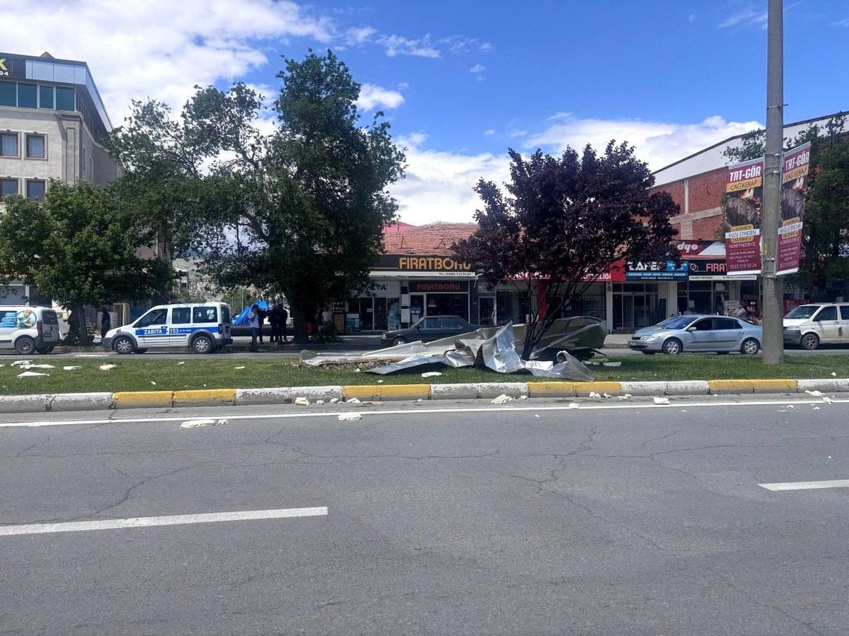 Erzincan\'da şiddetli rüzgardan ağaçlar devrildi, çatılar uçtu