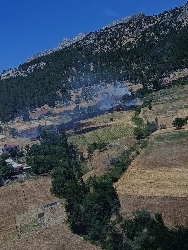 Kahramanmaraş'ta orman yangınları korkuttu