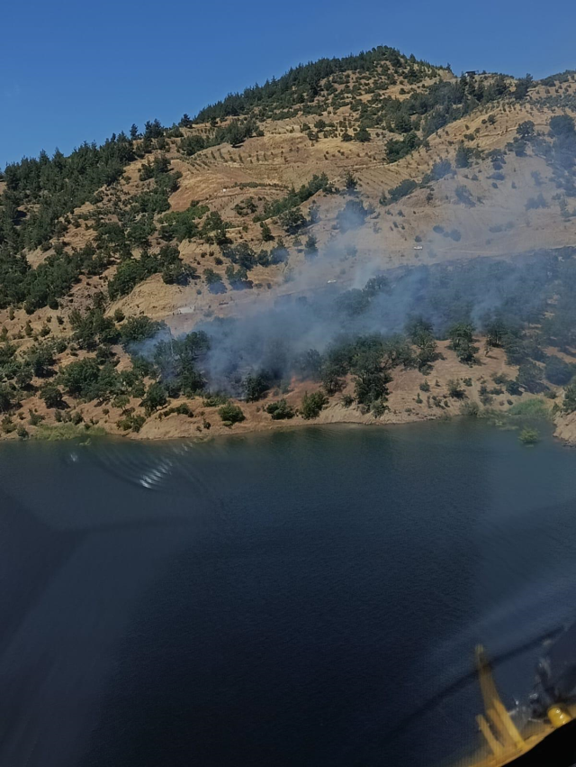 Kahramanmaraş'ta orman yangınları korkuttu