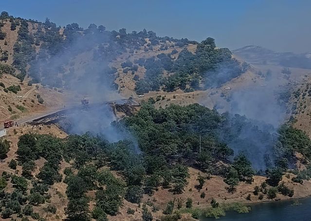 Kahramanmaraş’ta orman yangınları korkuttu