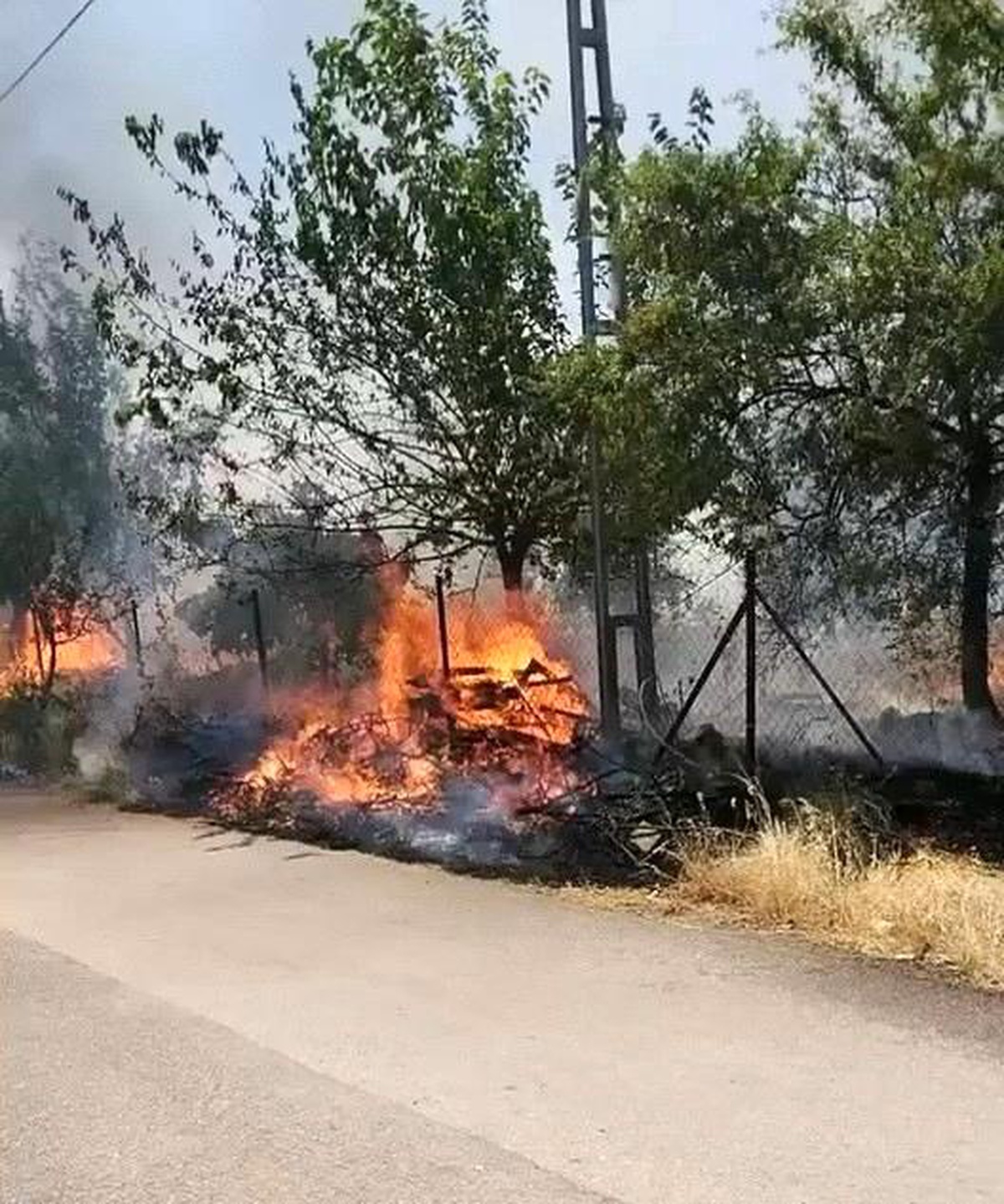 Adıyaman\'da Orman Yangını Korkuttu