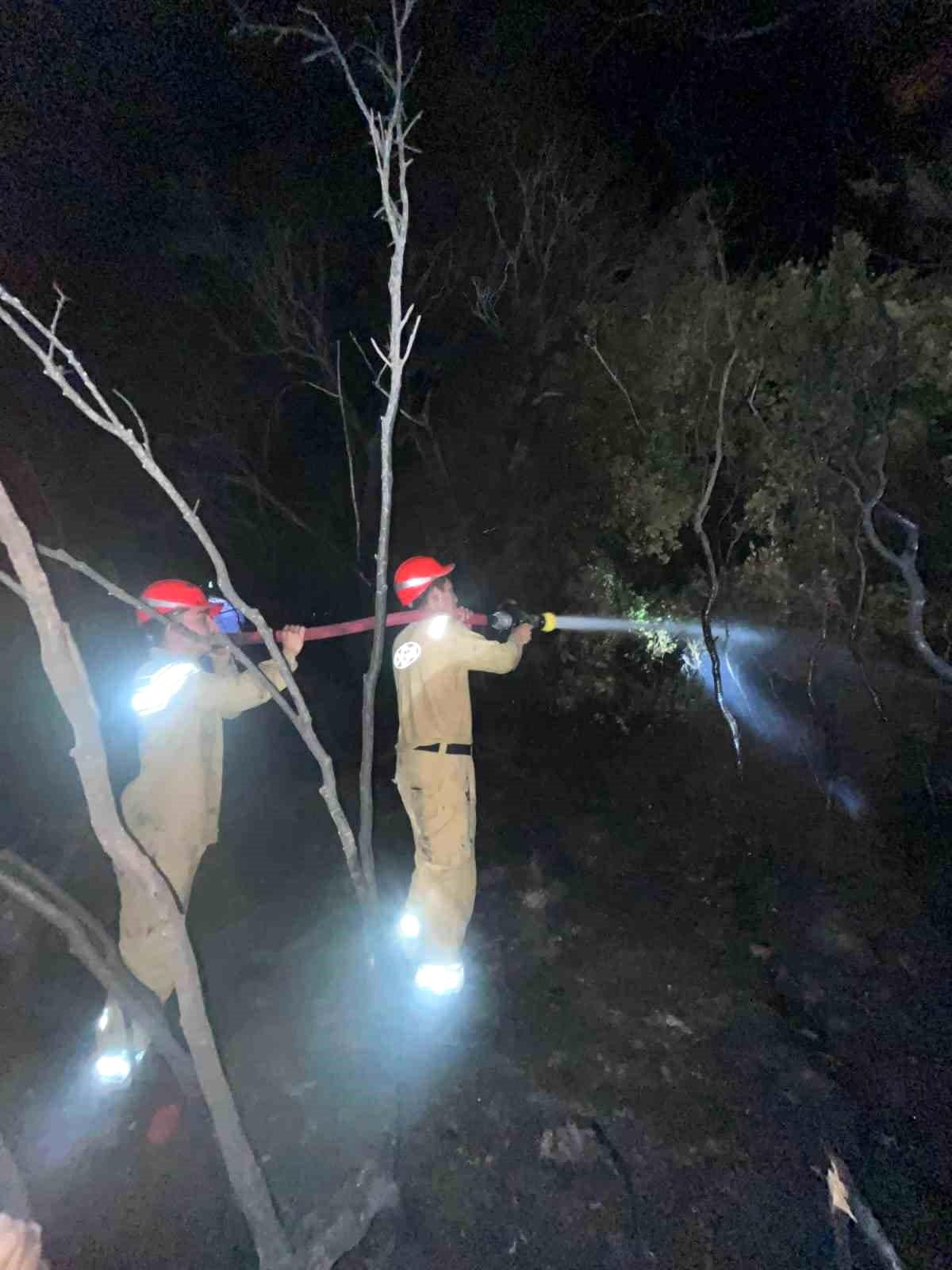 Dalaman\'da Orman Yangını Kısa Sürede Söndürüldü