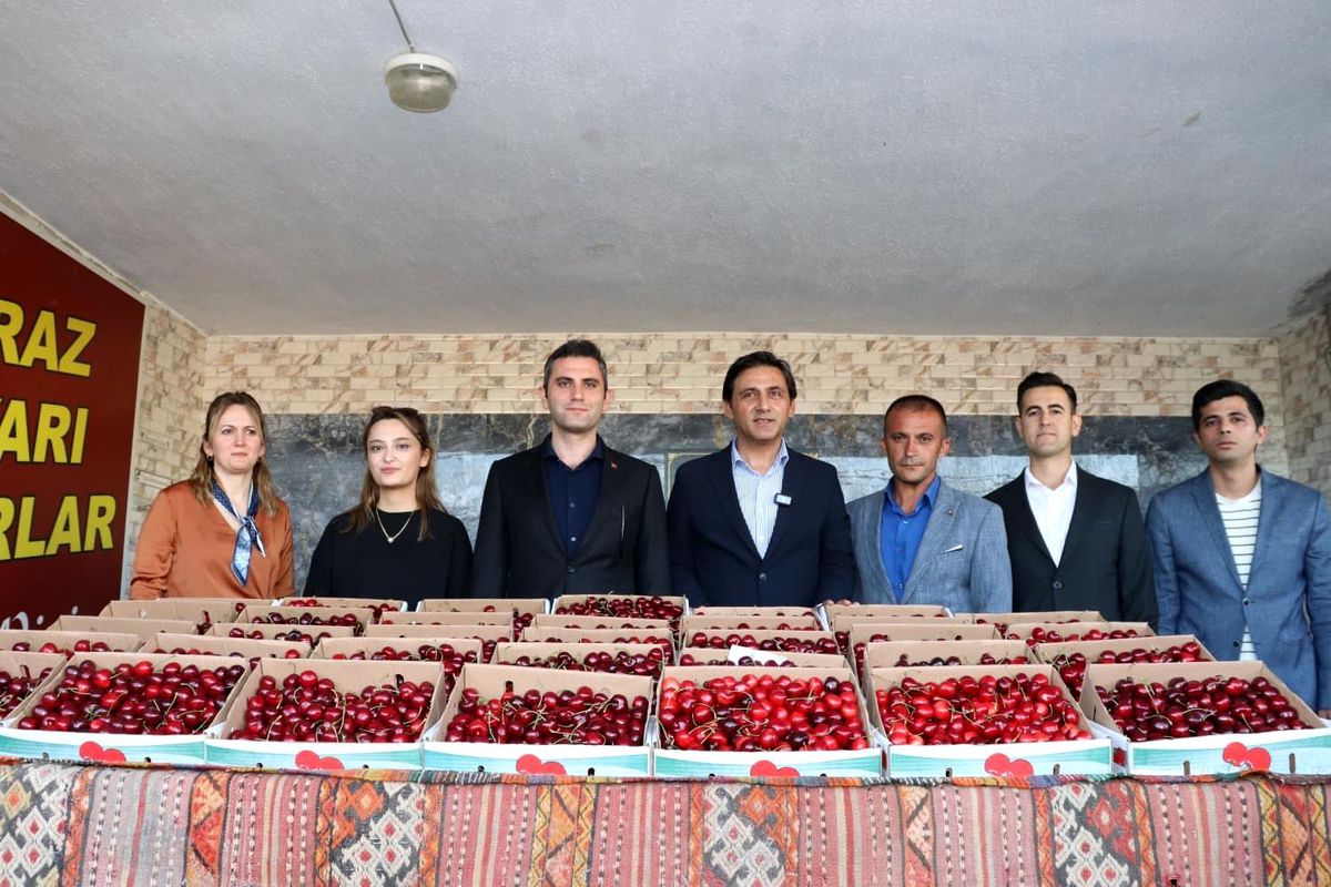 Selendi\'de kirazın en iyisi seçildi
