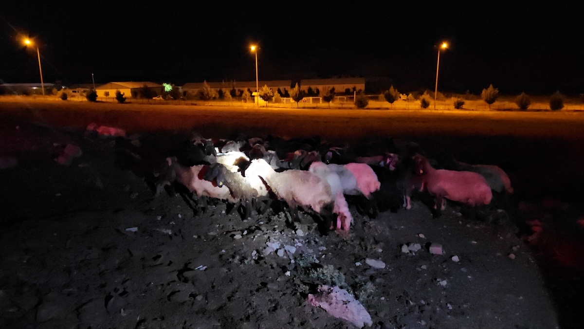 Siirt\'te Rögar Suyu Zehirledi!