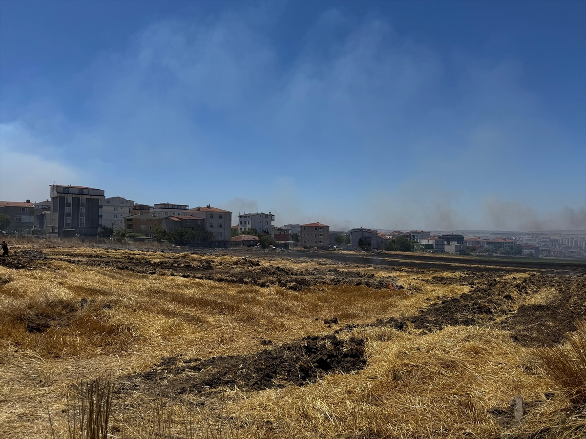 Silivri\'de Kırsal Yangın Kontrol Altında