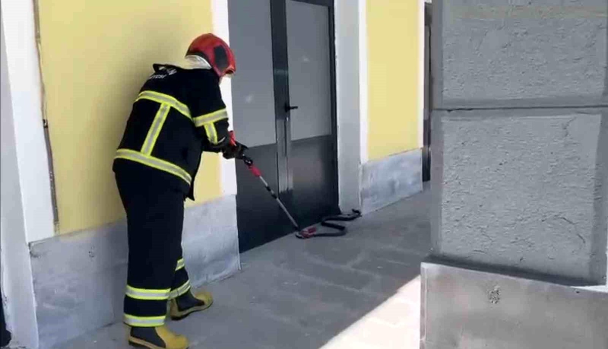 TCDD binasına giren yılan paniğe neden oldu