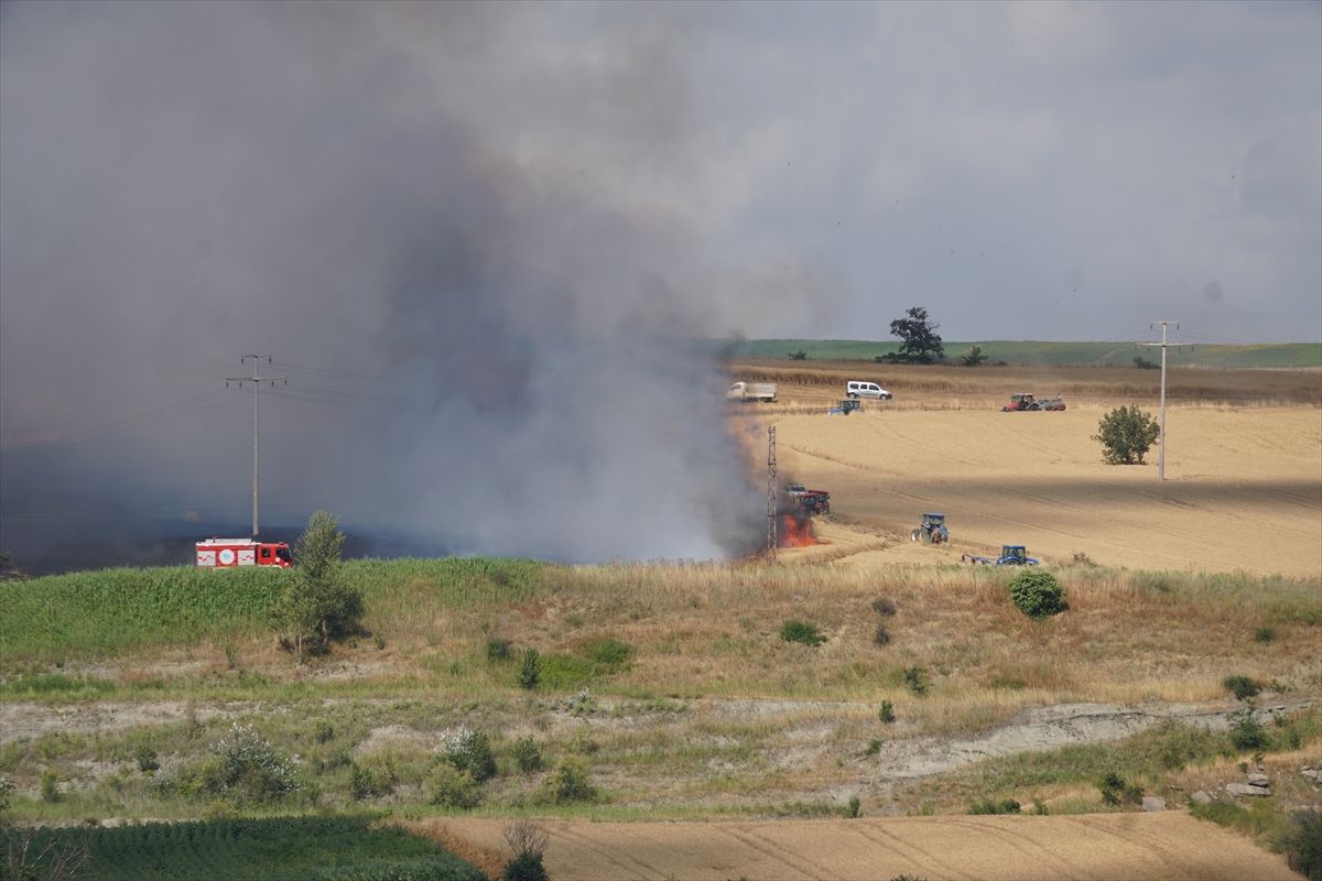 Tekirdağ\'da yangın, 100 dekar buğday alanı yandı