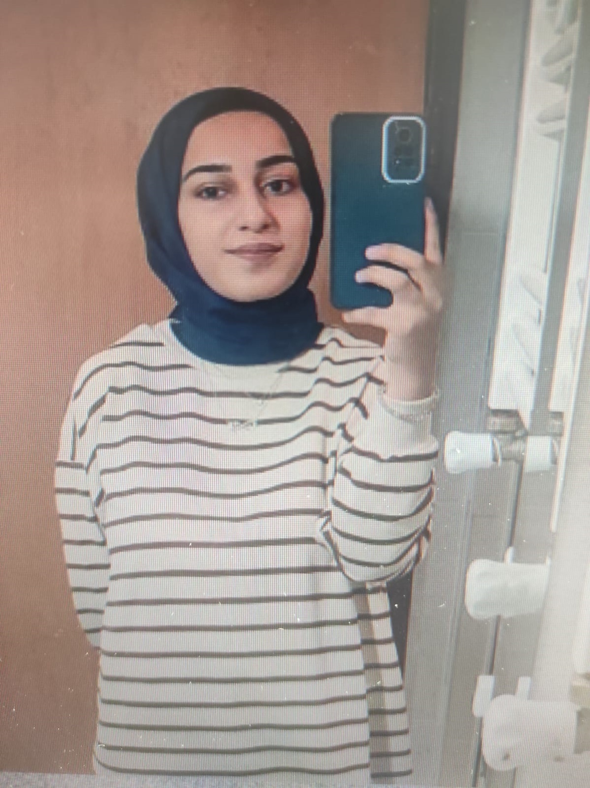 Van Barosu, Rojin Kabaiş dosyasından çekildi