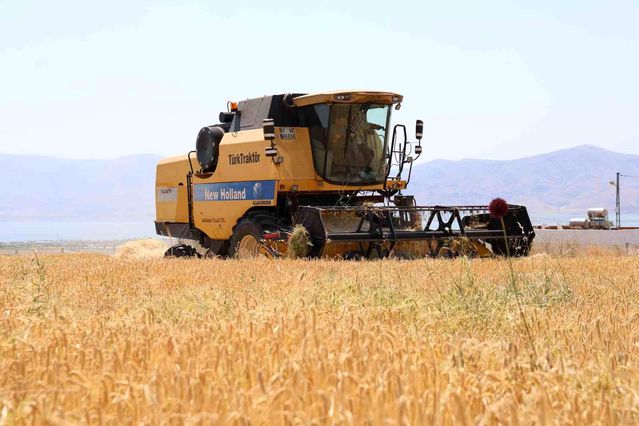 Elazığ’da İlk Arpa Hasadı Başladı