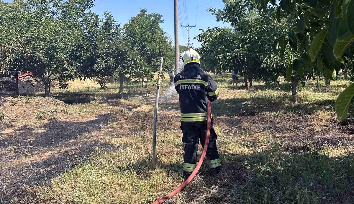 Menteşe\'de Ot Yangını Kontrol Altına Alındı
