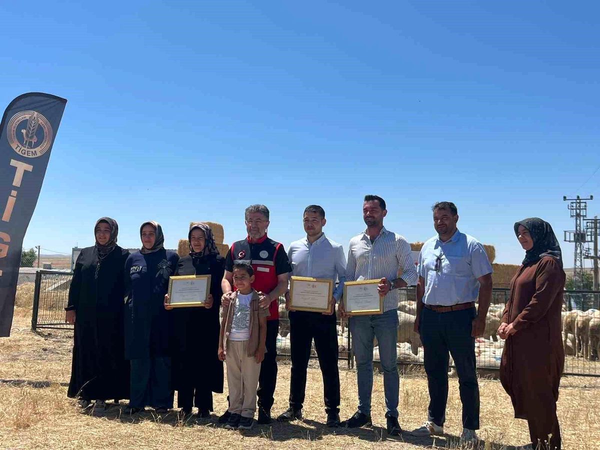 Küçükbaş Hayvan Destek Projesi Başladı