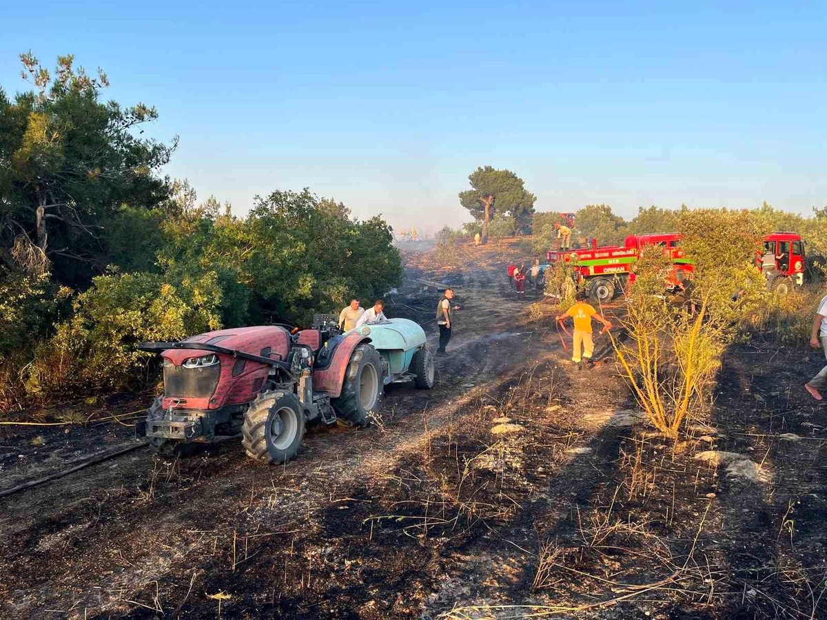 Bilecik sınırına yaklaşan alevler kontrol altına alındı
