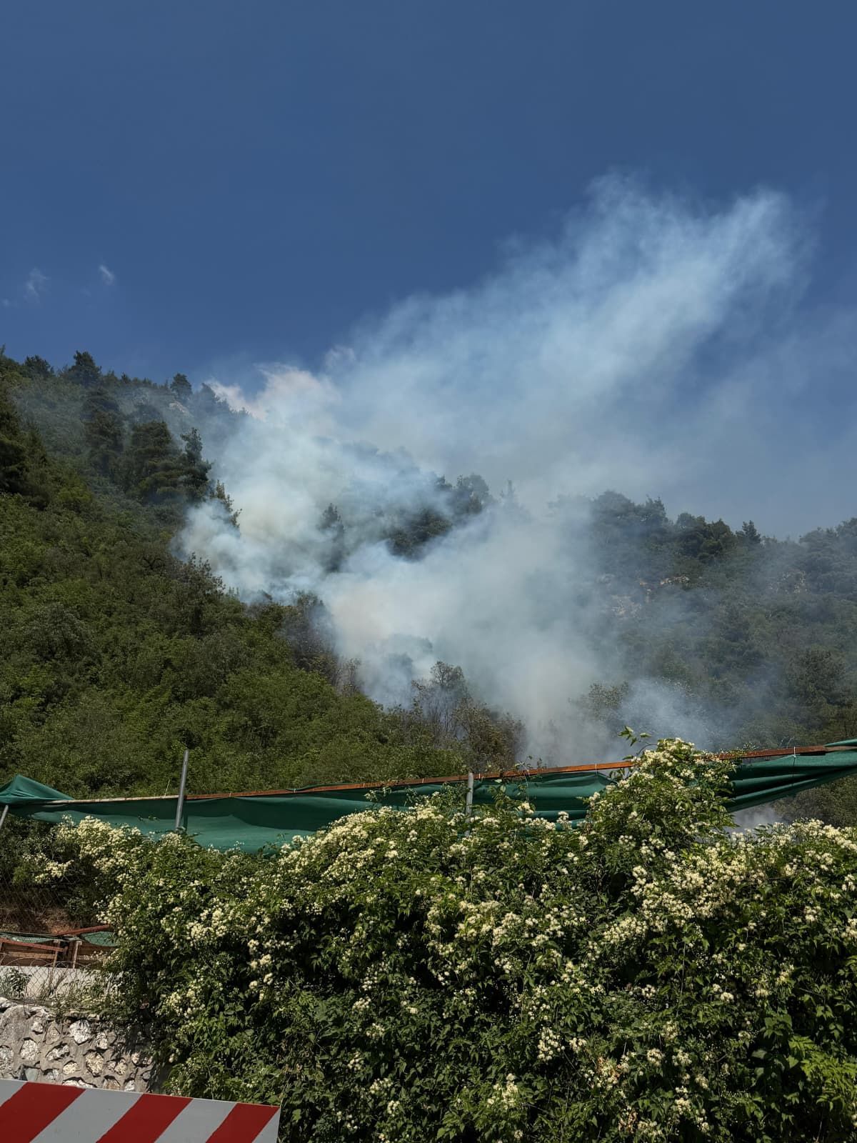 Bursa\'da Tarım Arazisinde Yangın