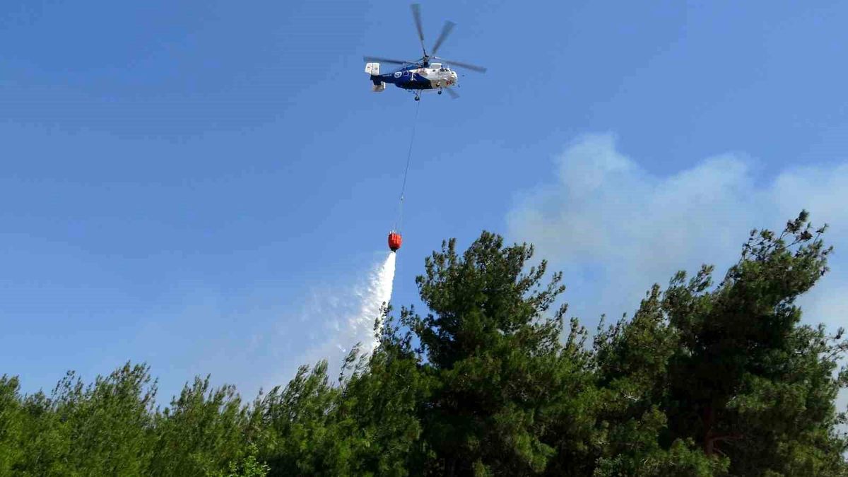 Çanakkale\'de Tarım Arazisinde Yangın Kontrol Altına Alındı