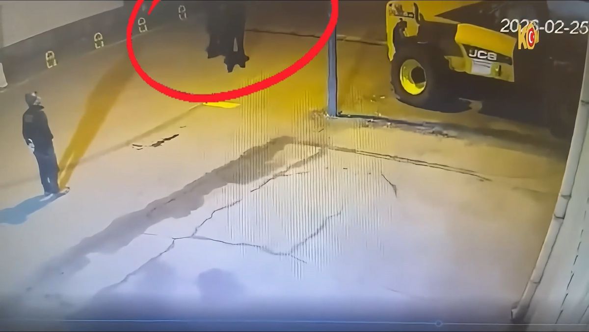 Diyarbakır\'da Silahlı Suç Örgütüne Operasyon