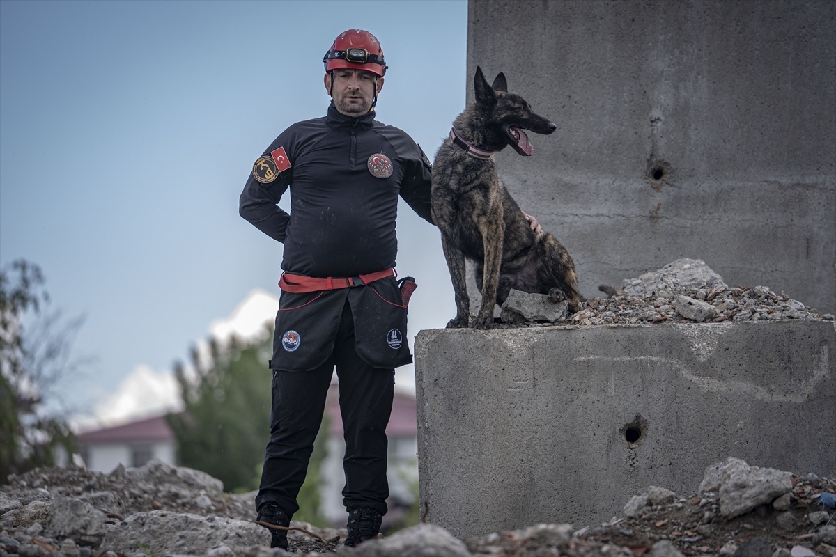 Ego, Türkiye’nin İlk Belgeli Arama Kurtarma Köpeği