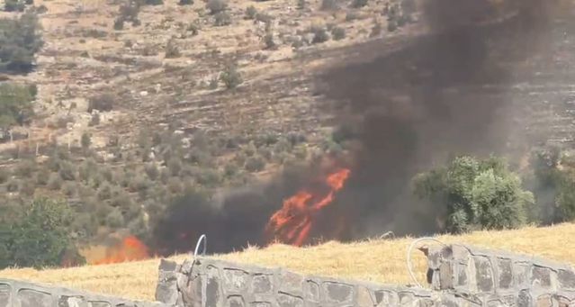 Gaziantep’te Zeytin Bahçesinde Yangın