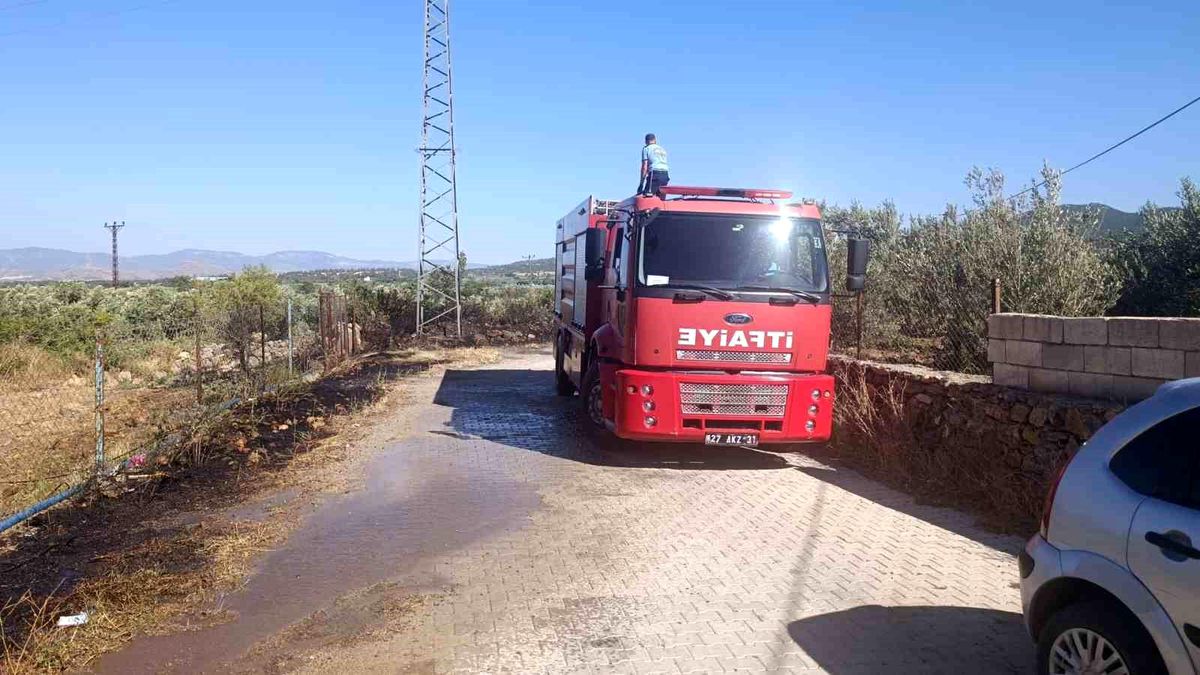 Gaziantep\'te Zeytin Tardı Yangını