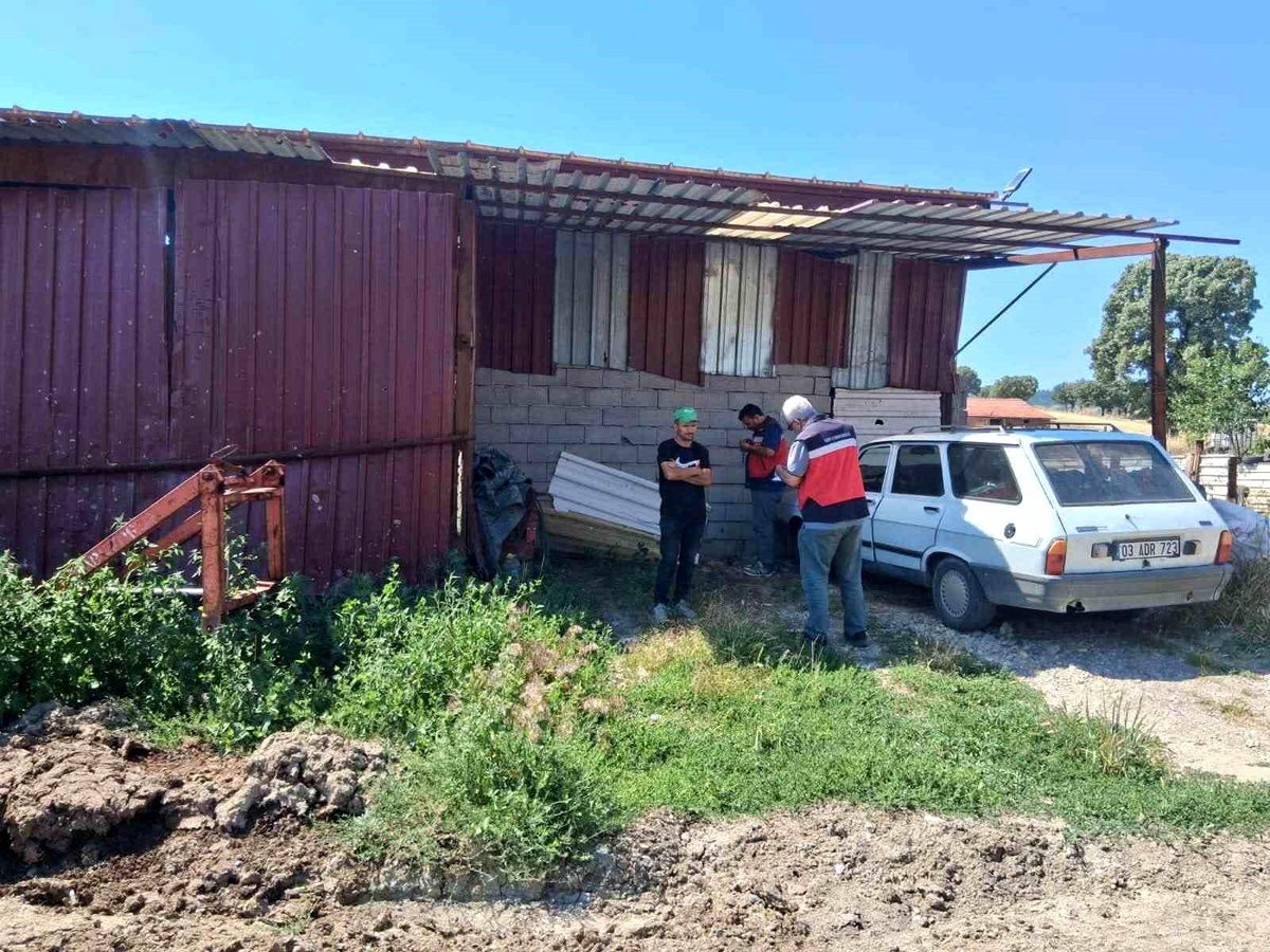 Gediz\'de Hayvansal Gübre Deposu Denetimi