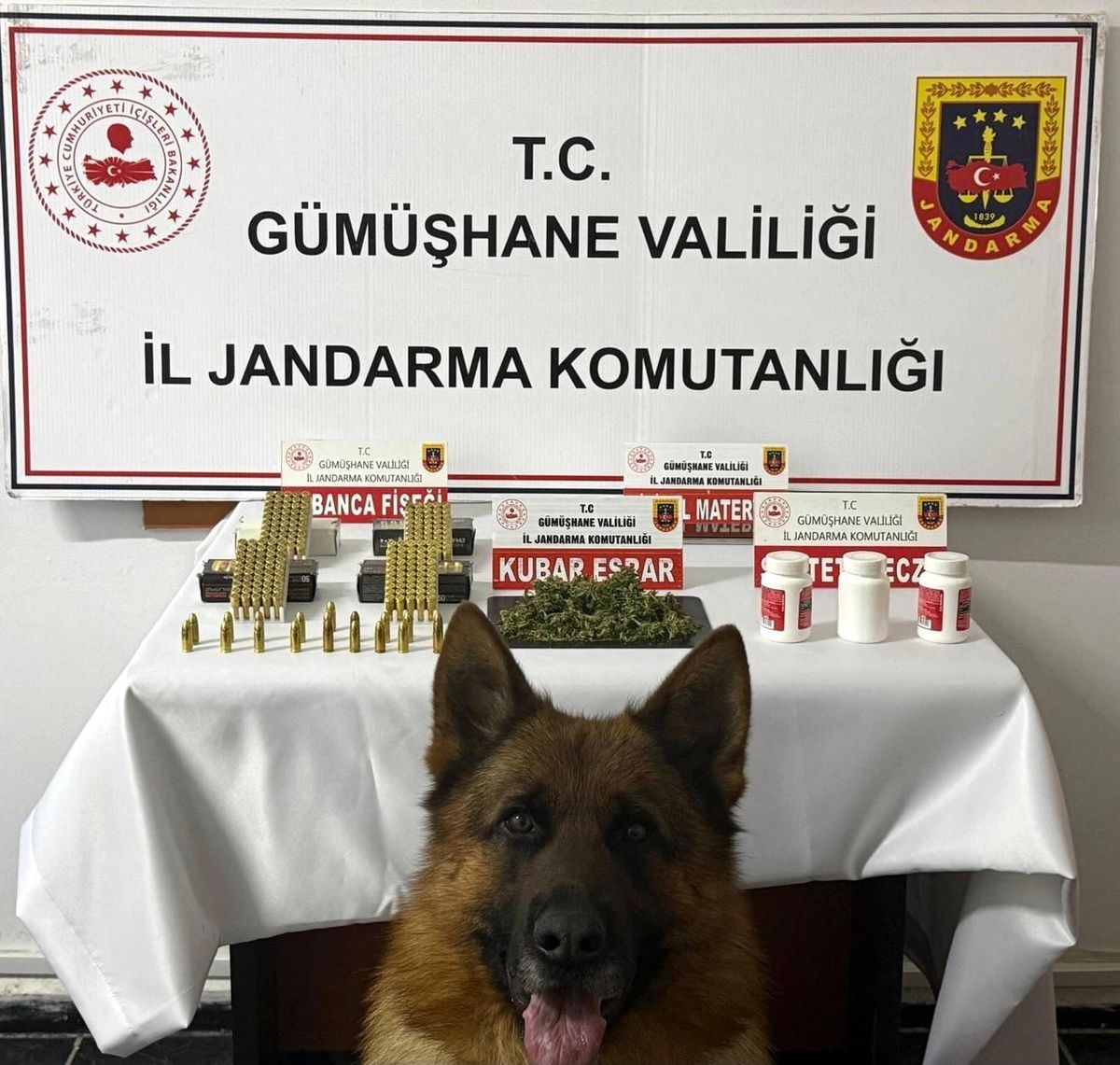 Gümüşhane\'de uyuşturucu operasyonu