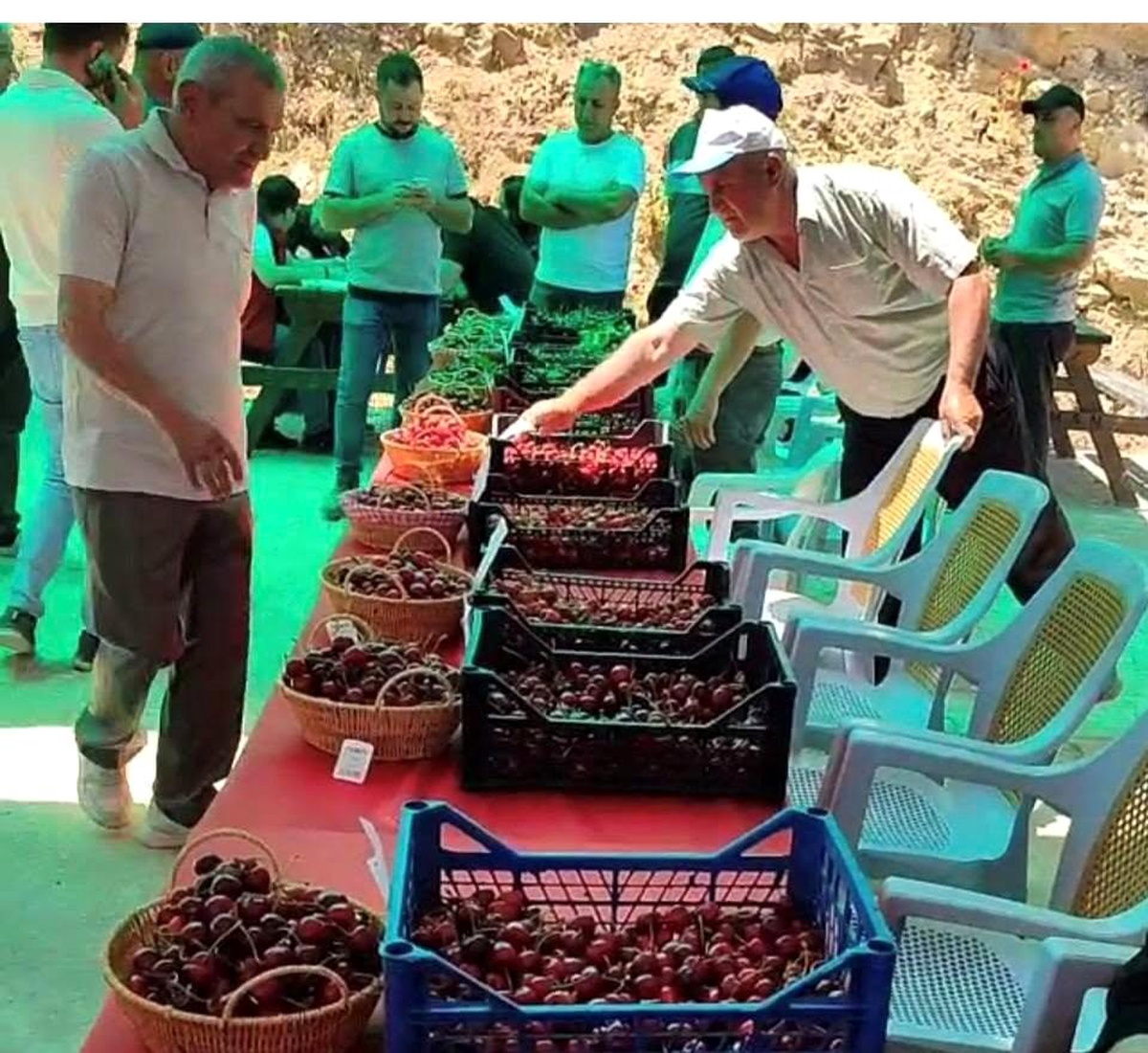 Hisarcık Kutlubeyler köyünde Kiraz Festivali coşkusu
