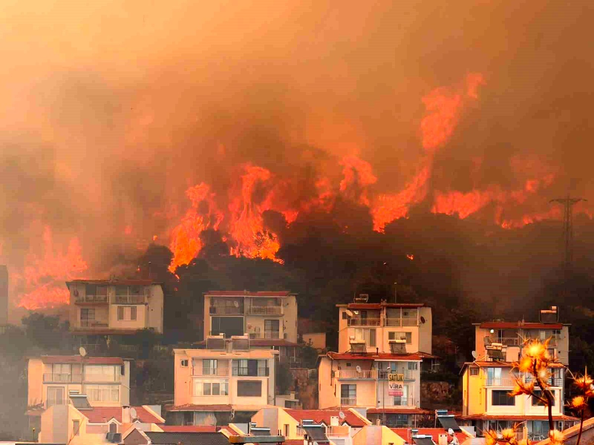 Dikili\'de Tarım Arazisindeki Yangın Kontrol Altına Alındı