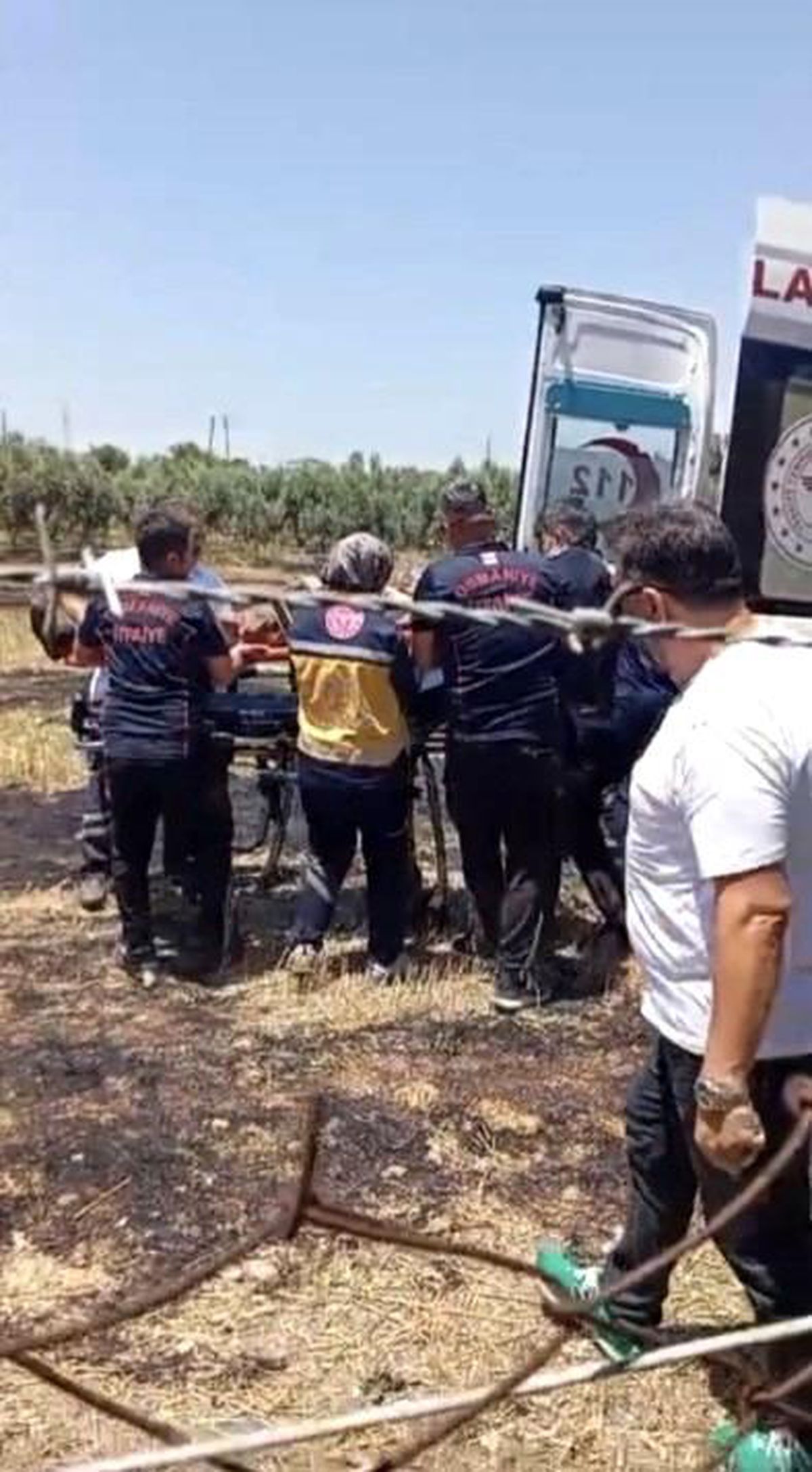 Osmaniye\'de anız yangını meyve bahçelerine sıçradı: 1 kişi hastanelik oldu