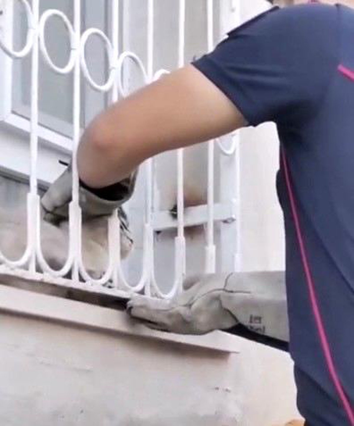 Patisi pencere demirine sıkışan kediyi itfaiye kurtardı