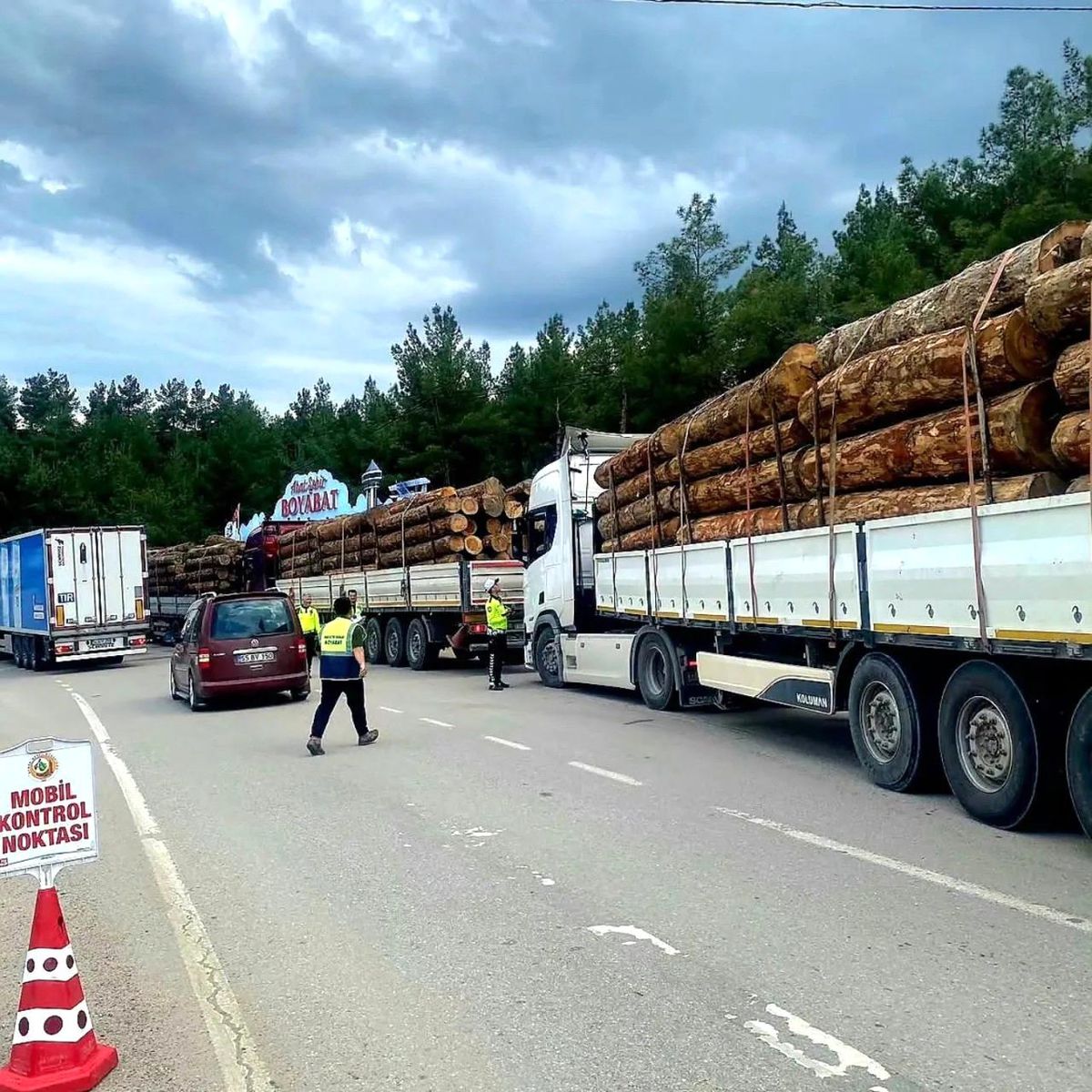 Sinop\'ta Orman Emvali Denetimi