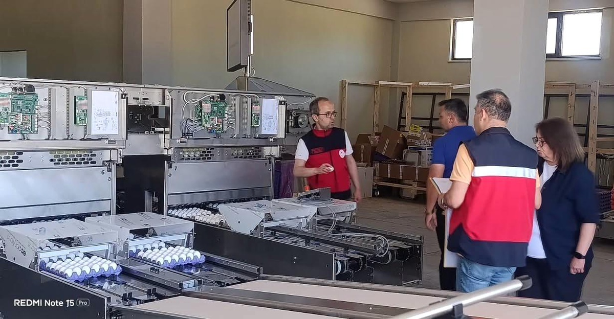 Tavşanlı\'daki Yumurta Tesisi Modernleşti