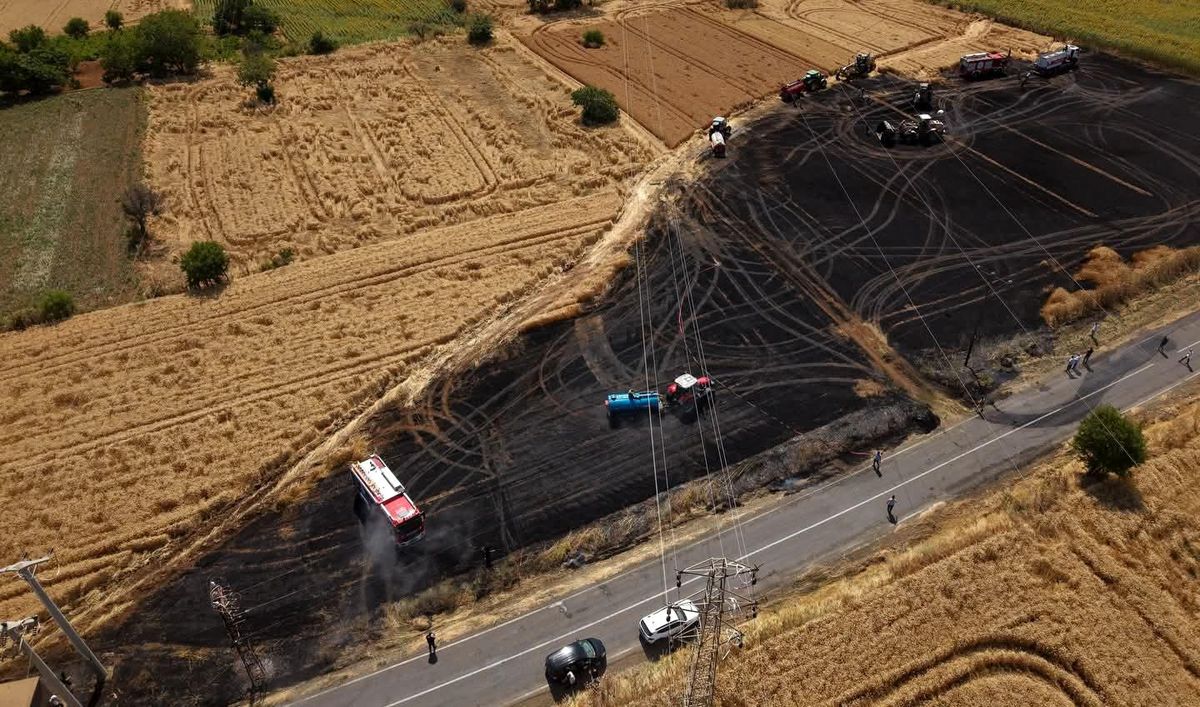 Tekirdağ\'da tarım arazisinde çıkan yangın kısa sürede söndürüldü