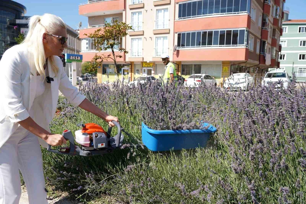 60 ülkeden 381 proje arasında Bilecik ve İstanbul yer aldı