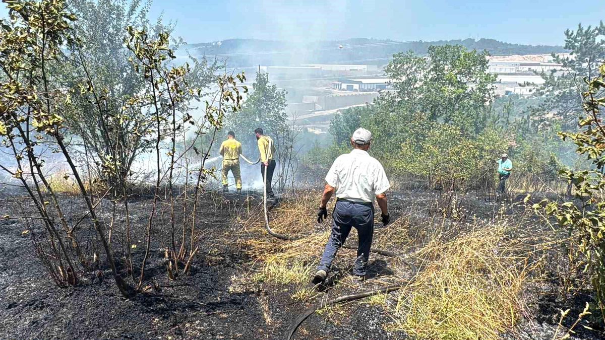 Anız yangını kontrolden çıkıp ormana sıçradı