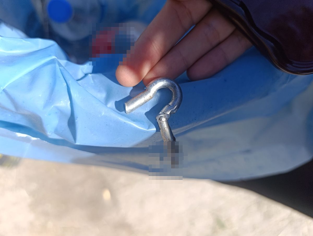 Diyarbakır\'da İşkenceye Uğrayan Köpek Kurtarıldı