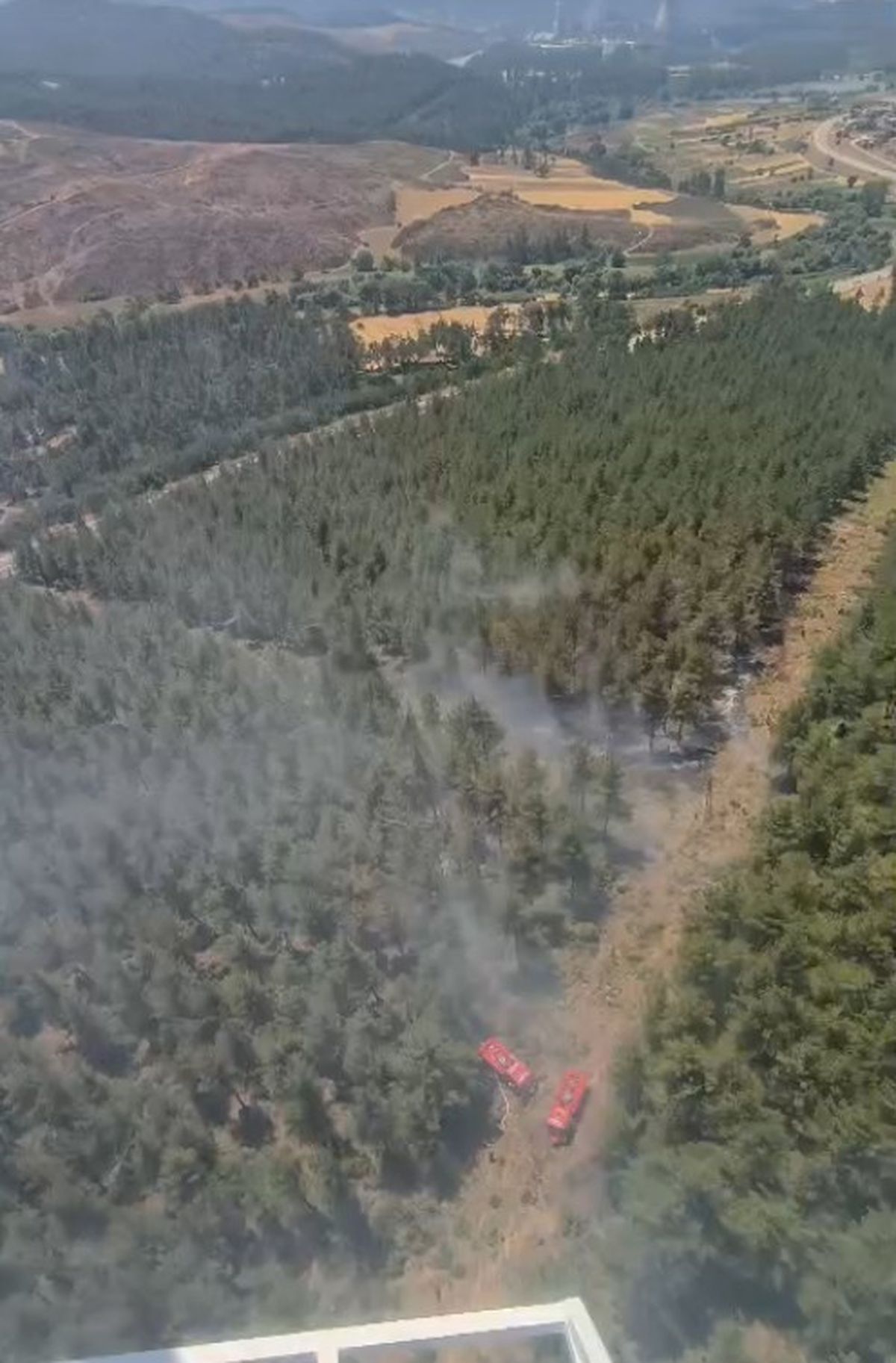 Yörükler\'de Orman Yangınına Hızlı Müdahale