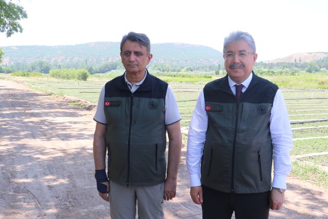 Bursa İçin 3,4 Milyon Fidan Üretilecek