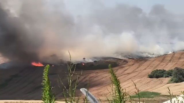 Büyükçekmece'de korkutan yangın! Rüzgarın etkisiyle büyüdü