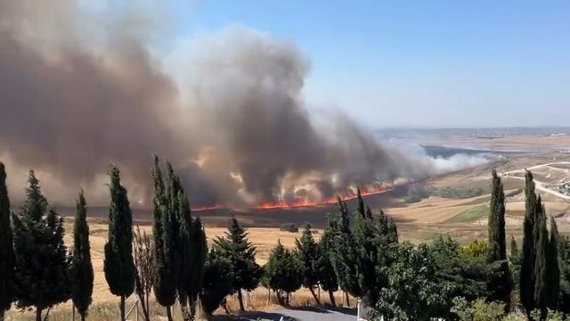 Büyükçekmece'de korkutan yangın! Rüzgarın etkisiyle büyüdü