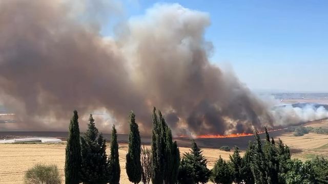 Büyükçekmece'de korkutan yangın! Rüzgarın etkisiyle büyüdü