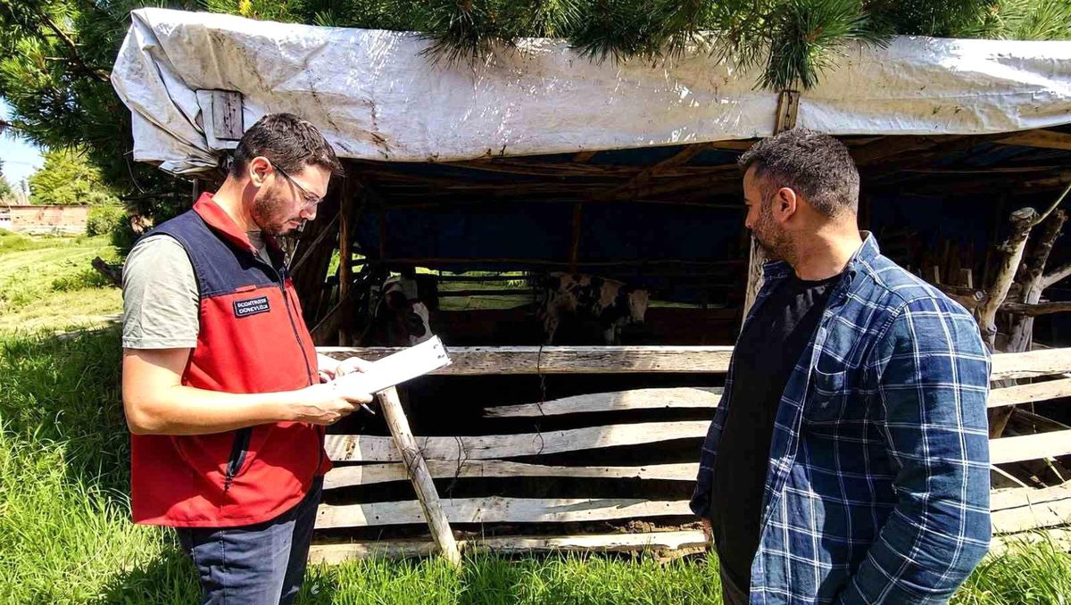 Besicilere Buzağı Eğitim Çalışması