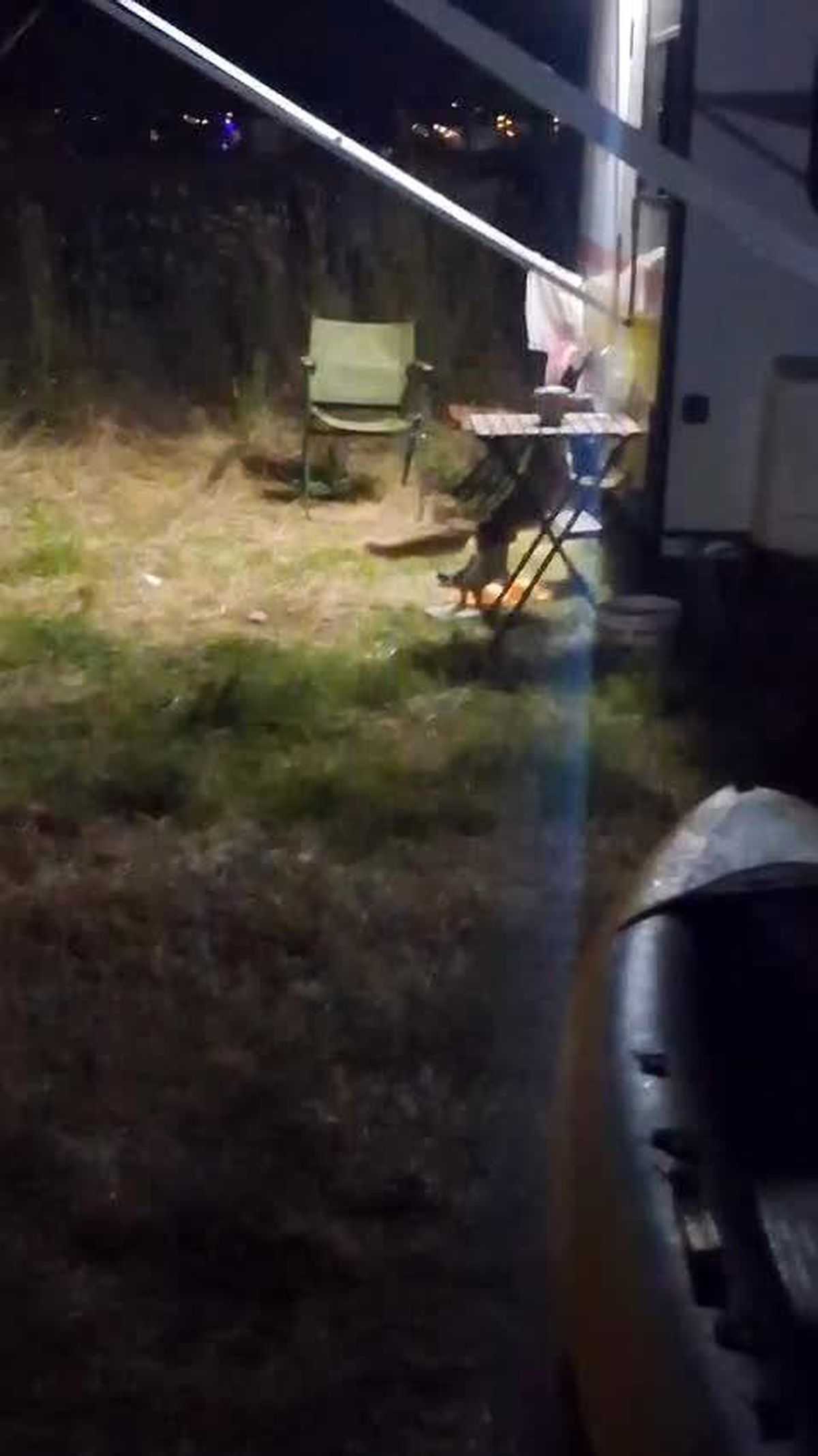Hırsız Tilki Kamp Alanını Soydu