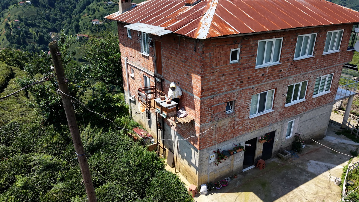 Arıcıdan Ayılara Karşı Yenilikçi Çözüm