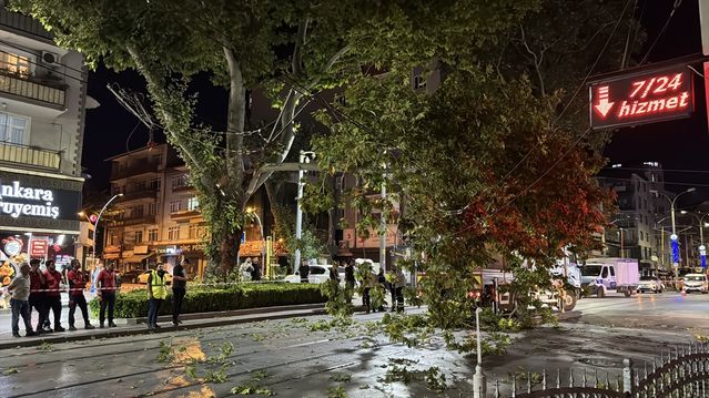Çınar Dalı Tramvay Hatlarına Düştü