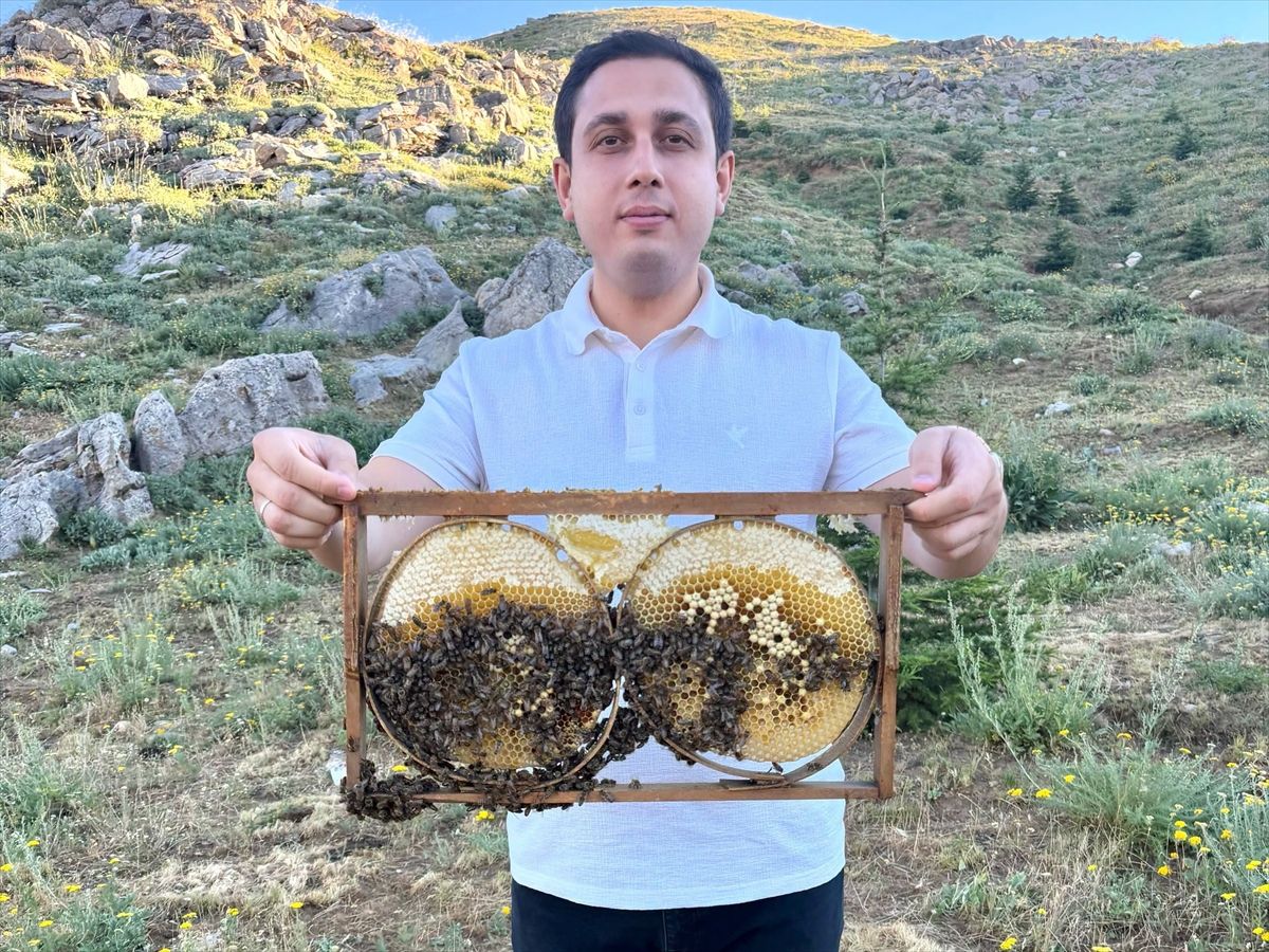 Sason Balı Hasat Öncesi Kontroller Devam Ediyor