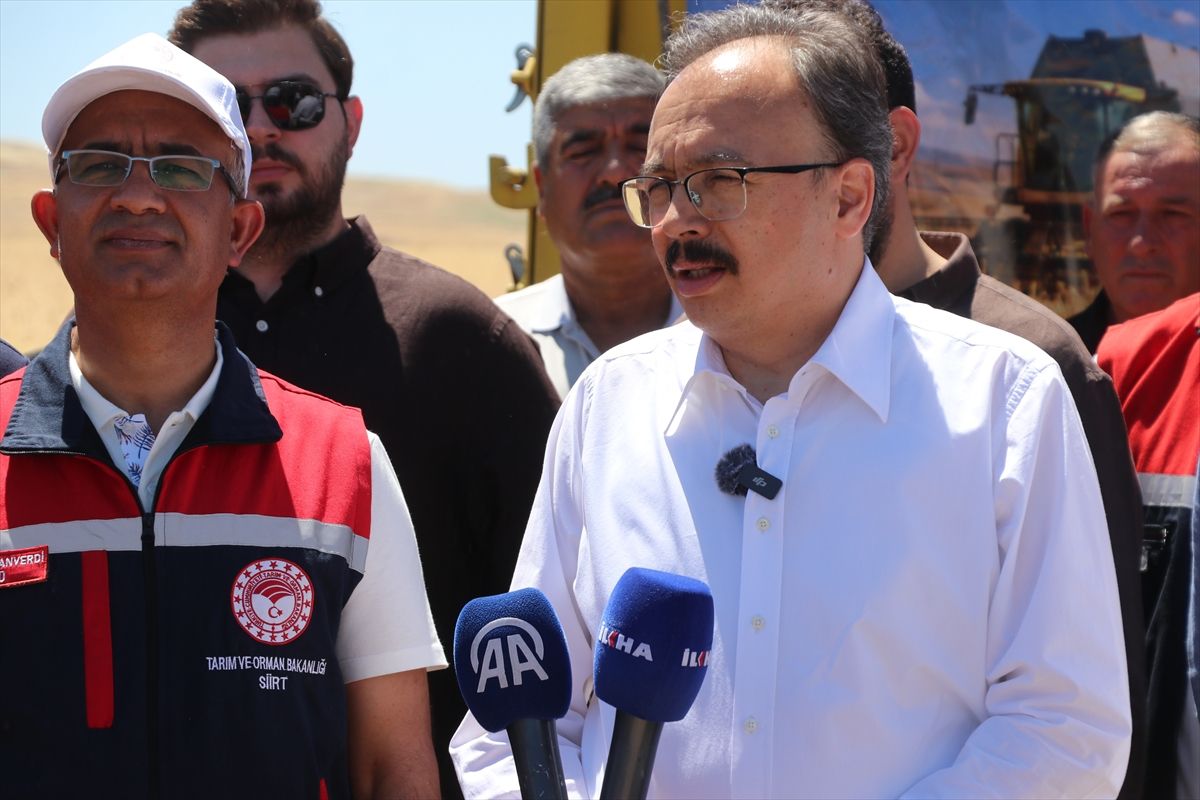 Siirt\'te Buğday Hasat Şenliği